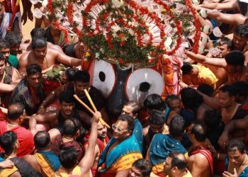 WhatsApp Image 2025-11-08 at 17.44.02_34aa67d8